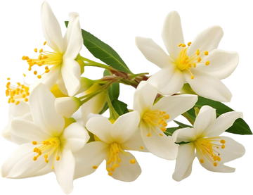 Hiyam